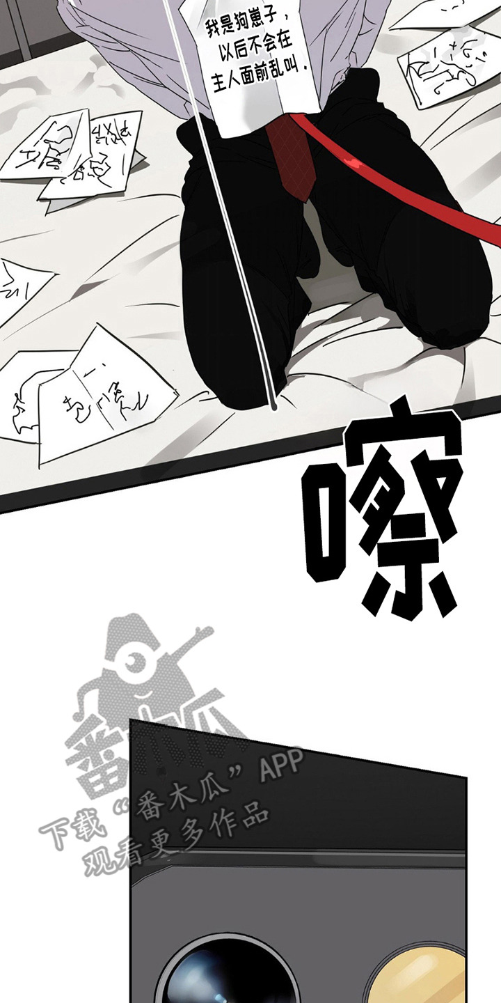 完美项圈 - 反省文 - 第9页