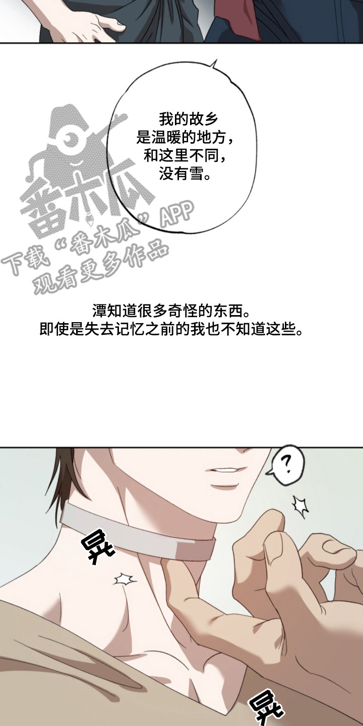双生悲愿 - 取名 - 第9页
