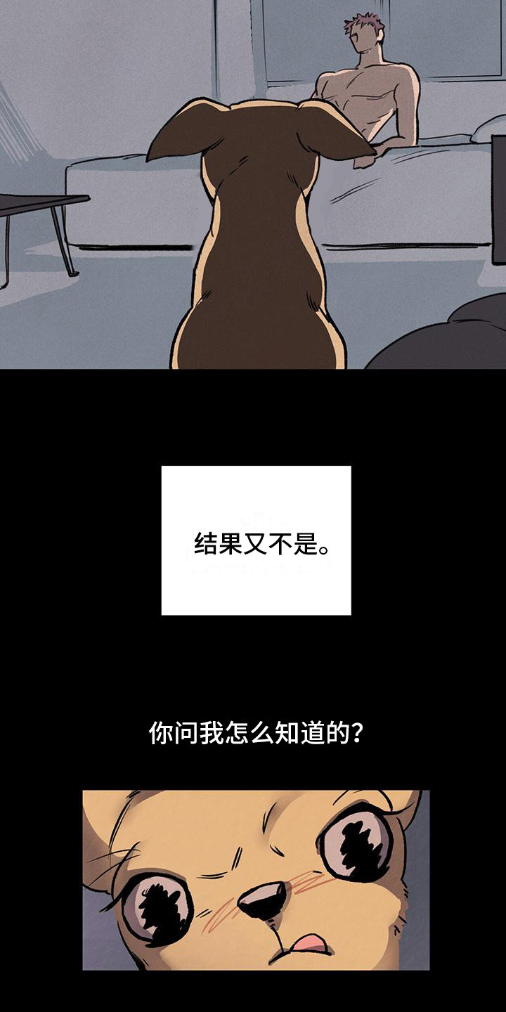 哈尼熊 - 铲屎官 - 第9页
