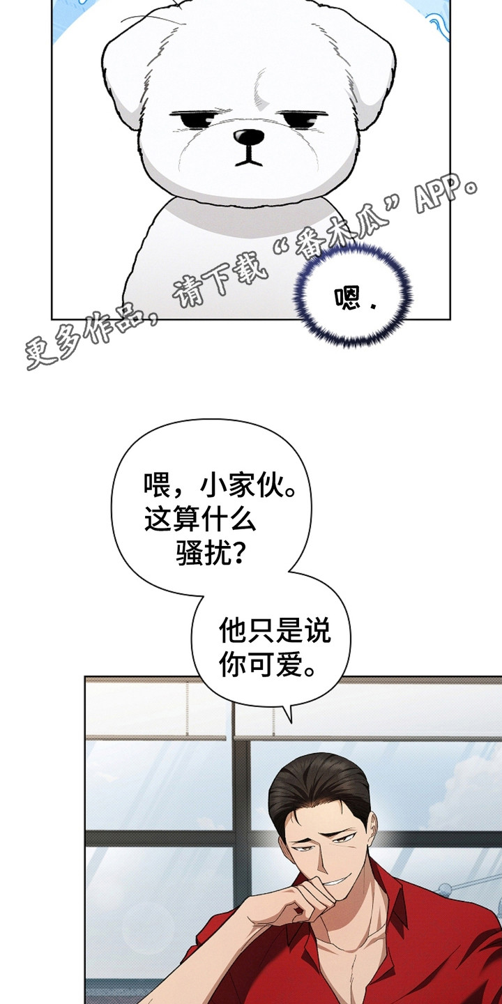 不要招惹小狗 - 小零食 - 第12页
