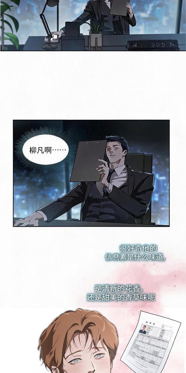 猎物的伪装 - 专属秘书 - 第9页
