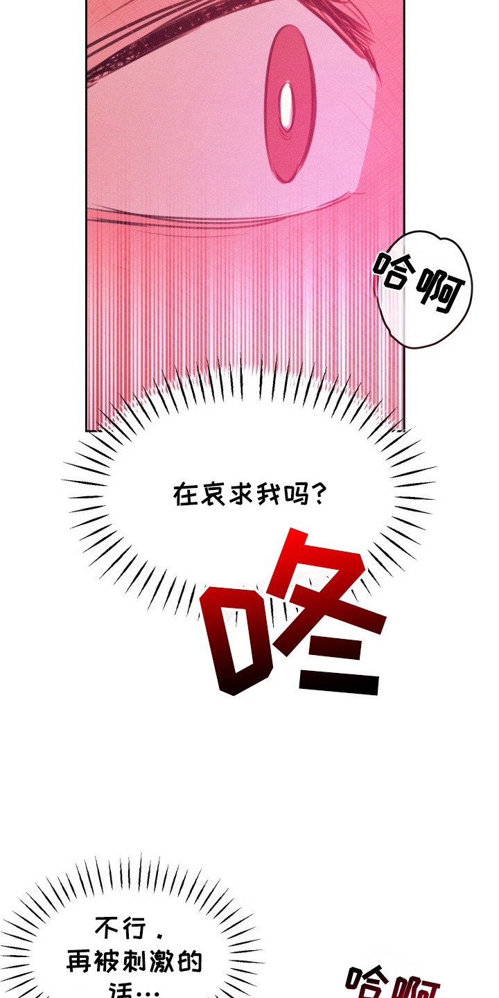 醉酒入怀 - 哀求 - 第5页