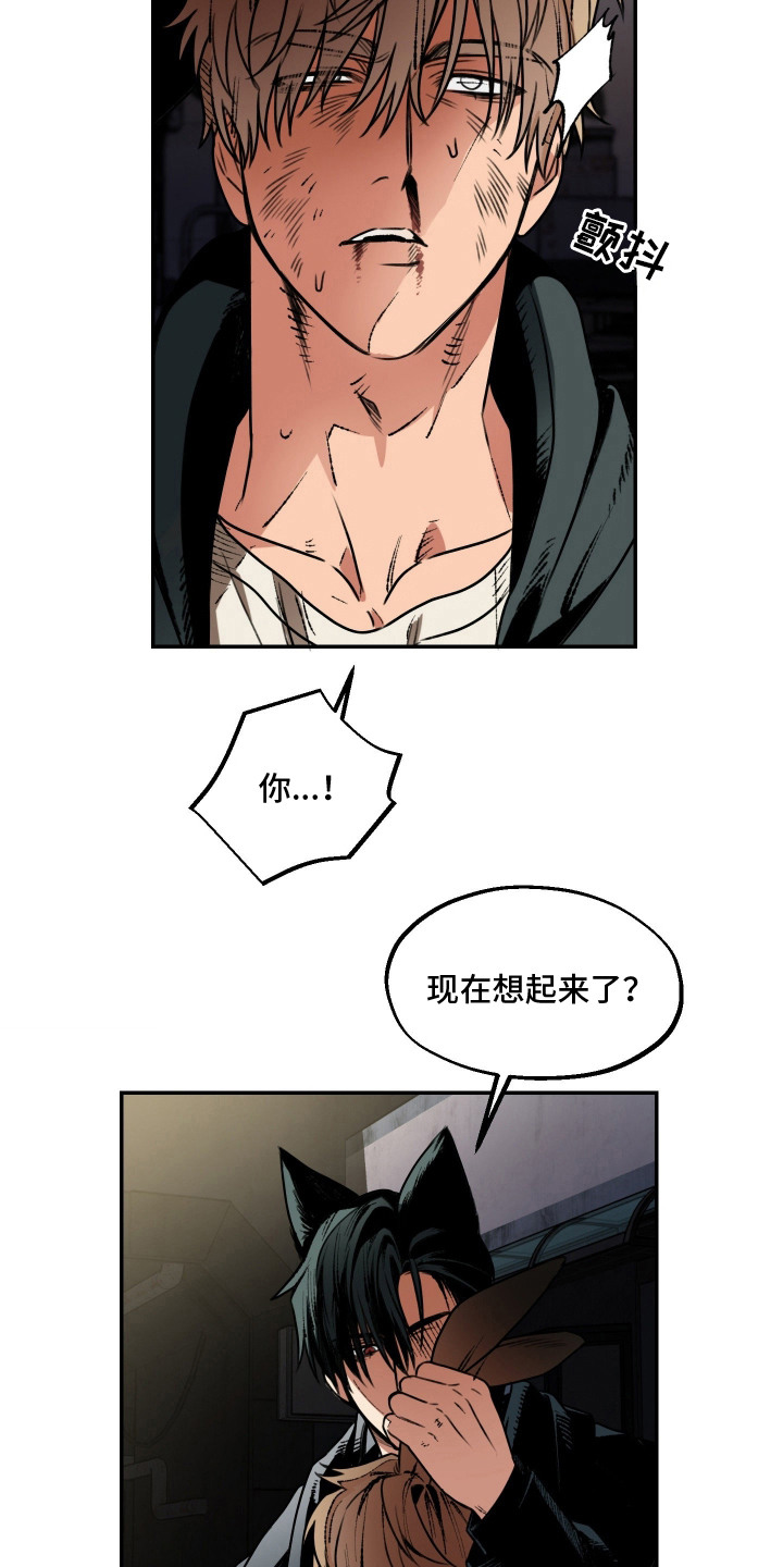 兔入狐窝 - 恩怨纠葛 - 第7页