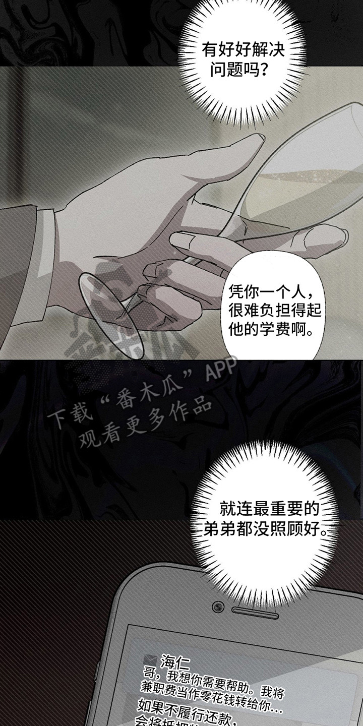 特写爱意 - 毫无选择 - 第15页
