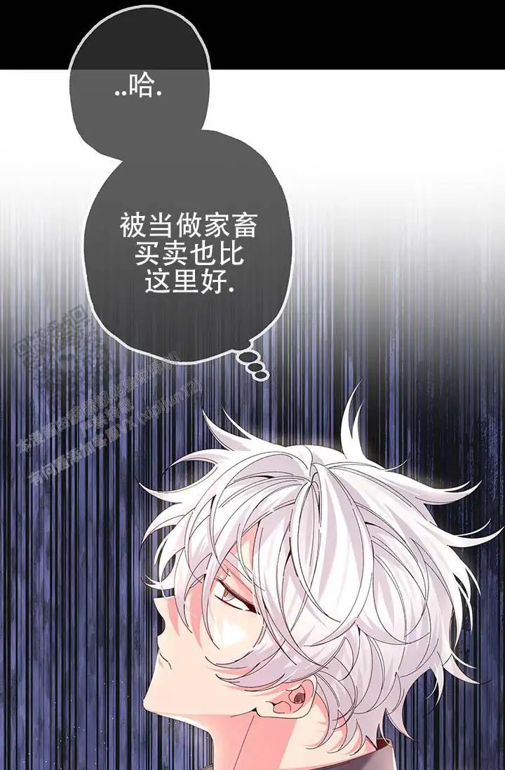 美人鱼综合征 - 上层人士 - 第25页
