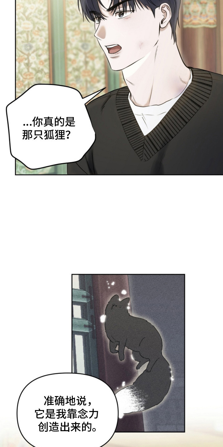 幽光潜行 - 狐狸的真身 - 第11页