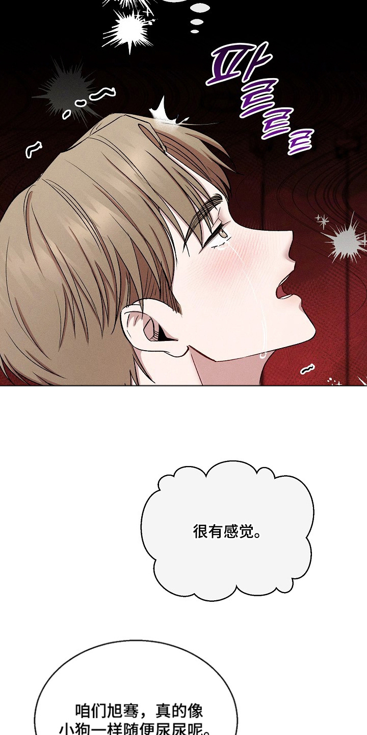真假催眠 - 小狗一样 - 第16页
