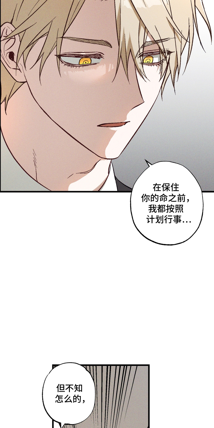 总裁的深渊契约 - 诅咒 - 第20页