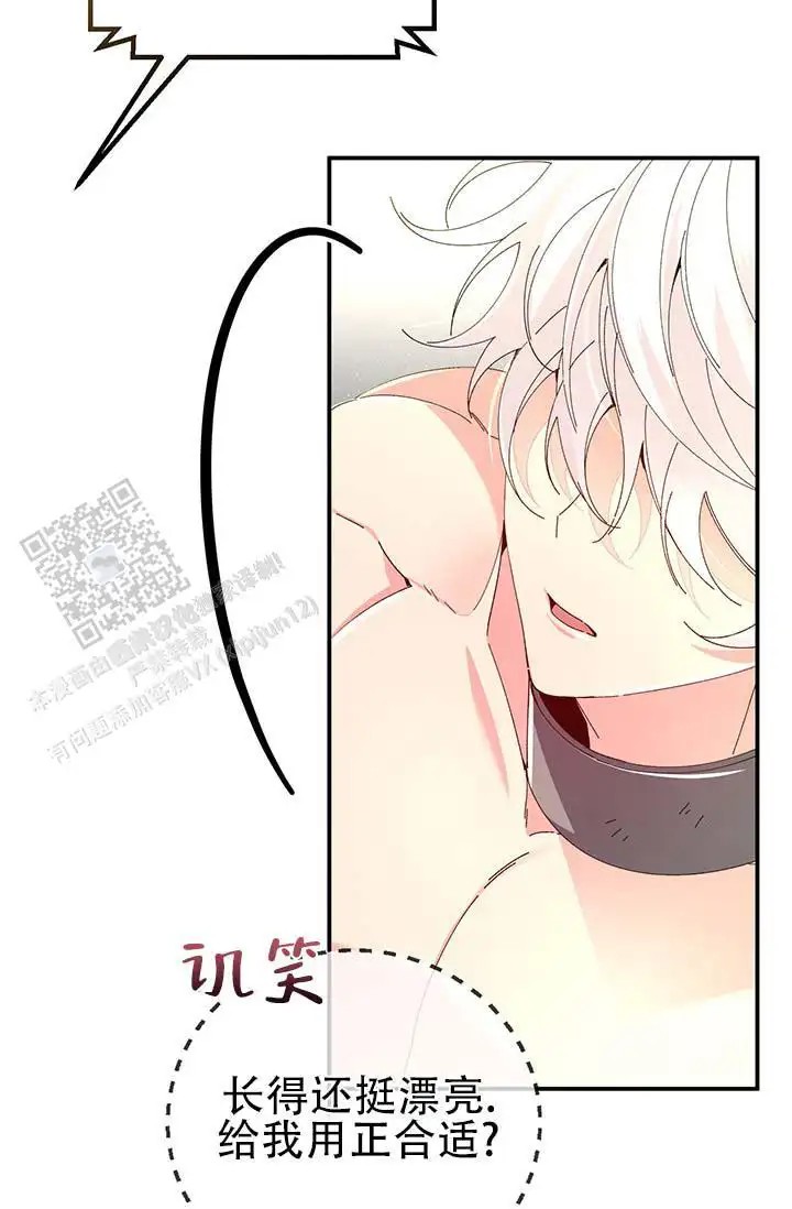 美人鱼综合征 - 上层人士 - 第22页