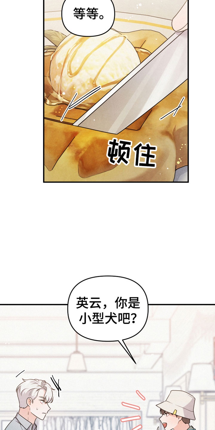 狗狗的恋爱 - 合适的对象 - 第17页