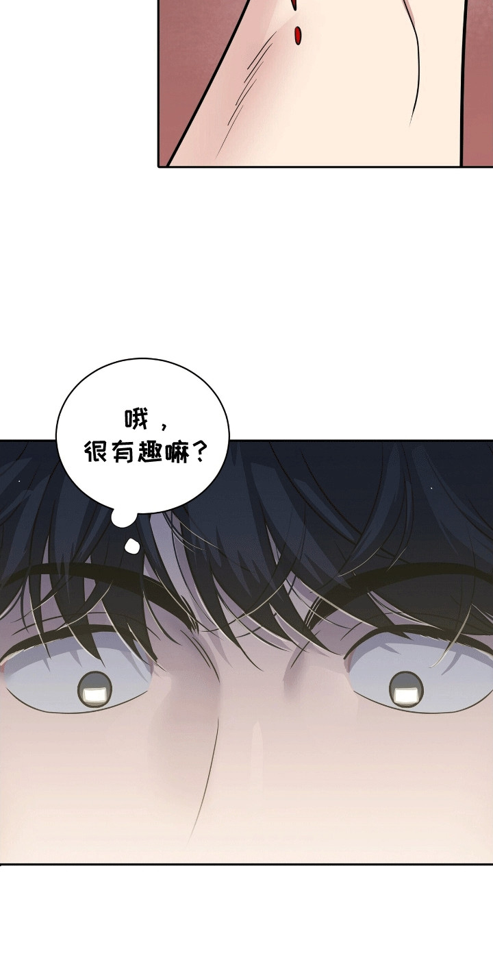 搏击俱乐部 - 格斗俱乐部 - 第26页