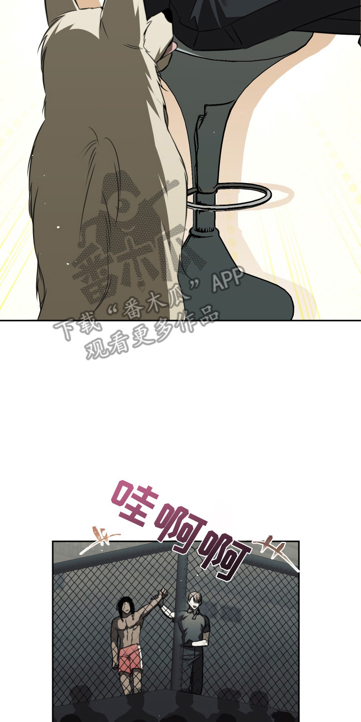 血色信仰 - 猎犬 - 第9页