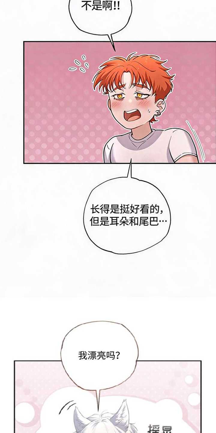 星光狼影 - 委屈 - 第16页