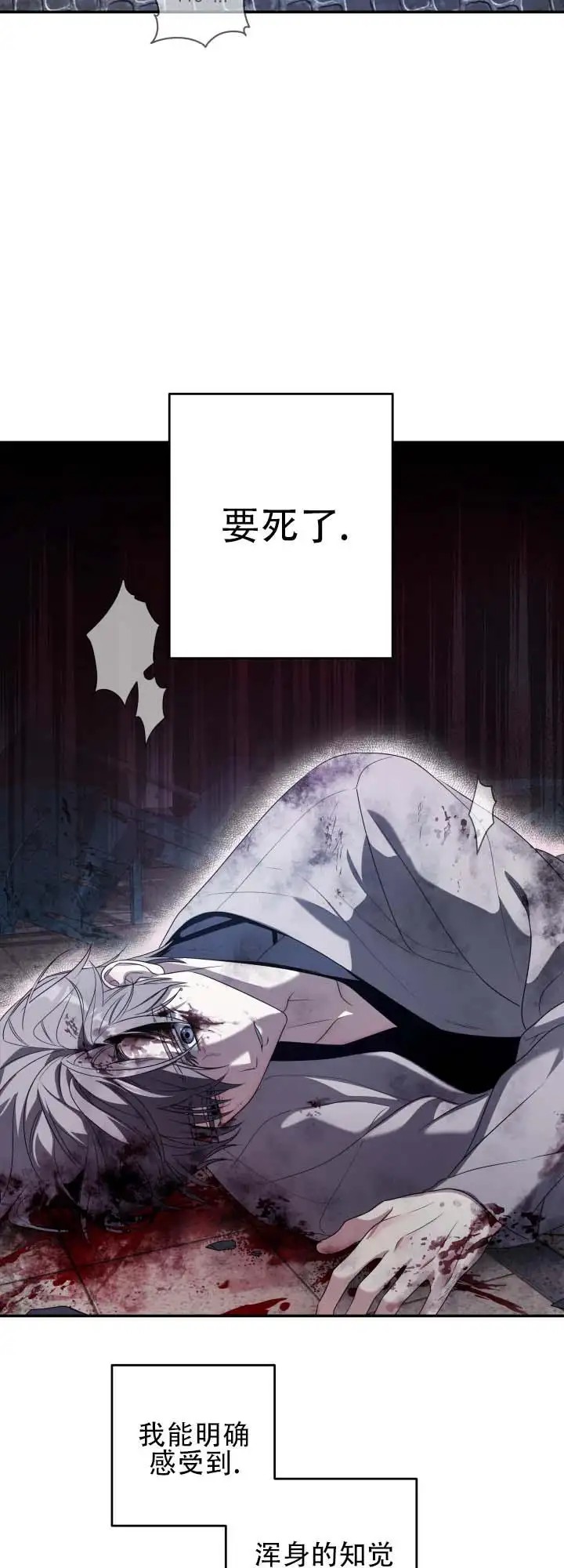 灵丹妙药 - 撞到人了 - 第12页
