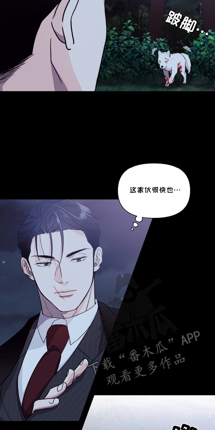 如此可爱的你 - 小狼崽 - 第18页
