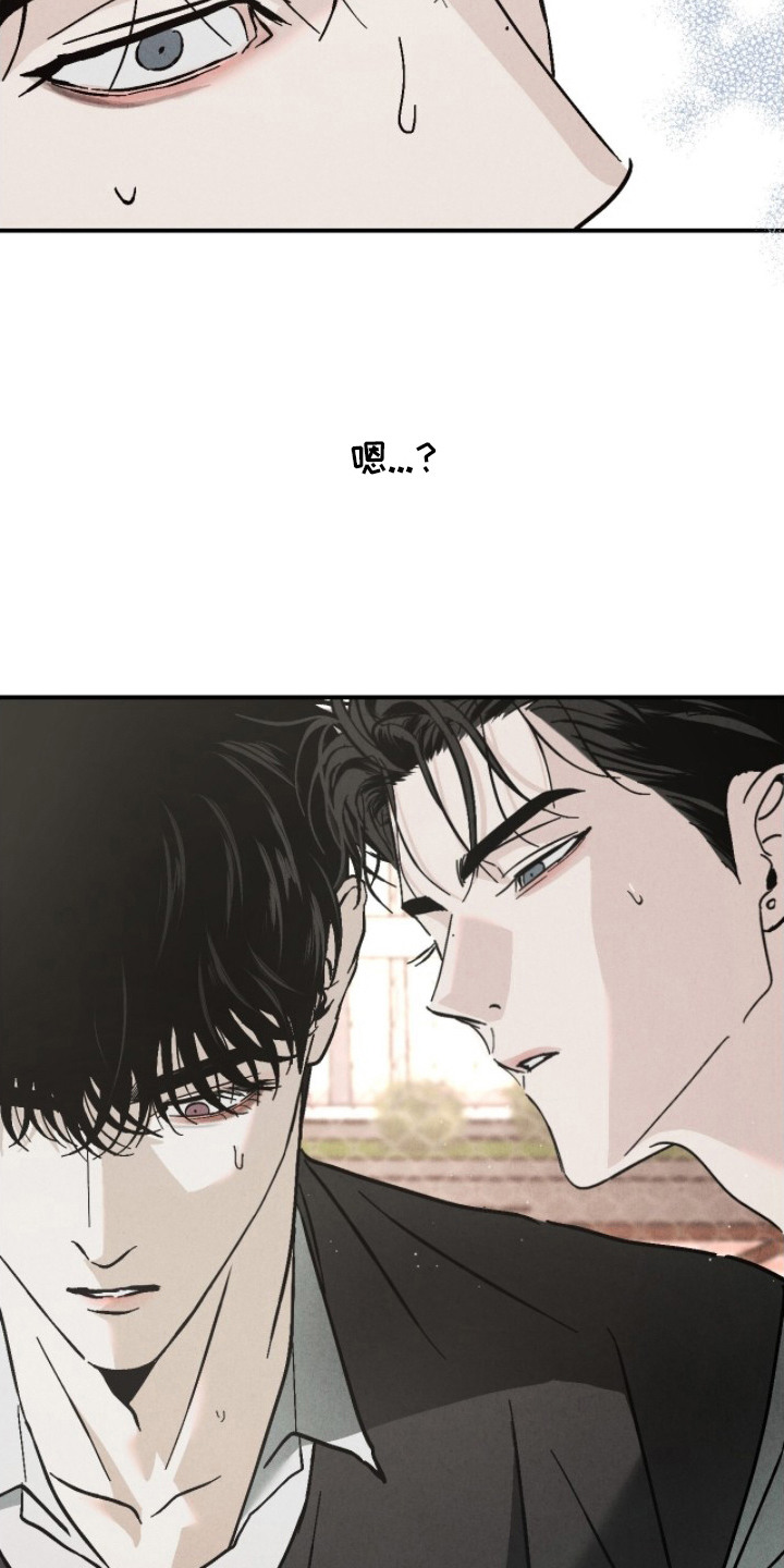 不透明关系 - 第二属性 - 第7页