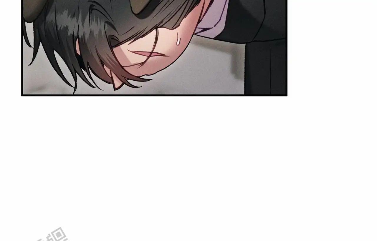 爱情护卫 - 负责 - 第17页
