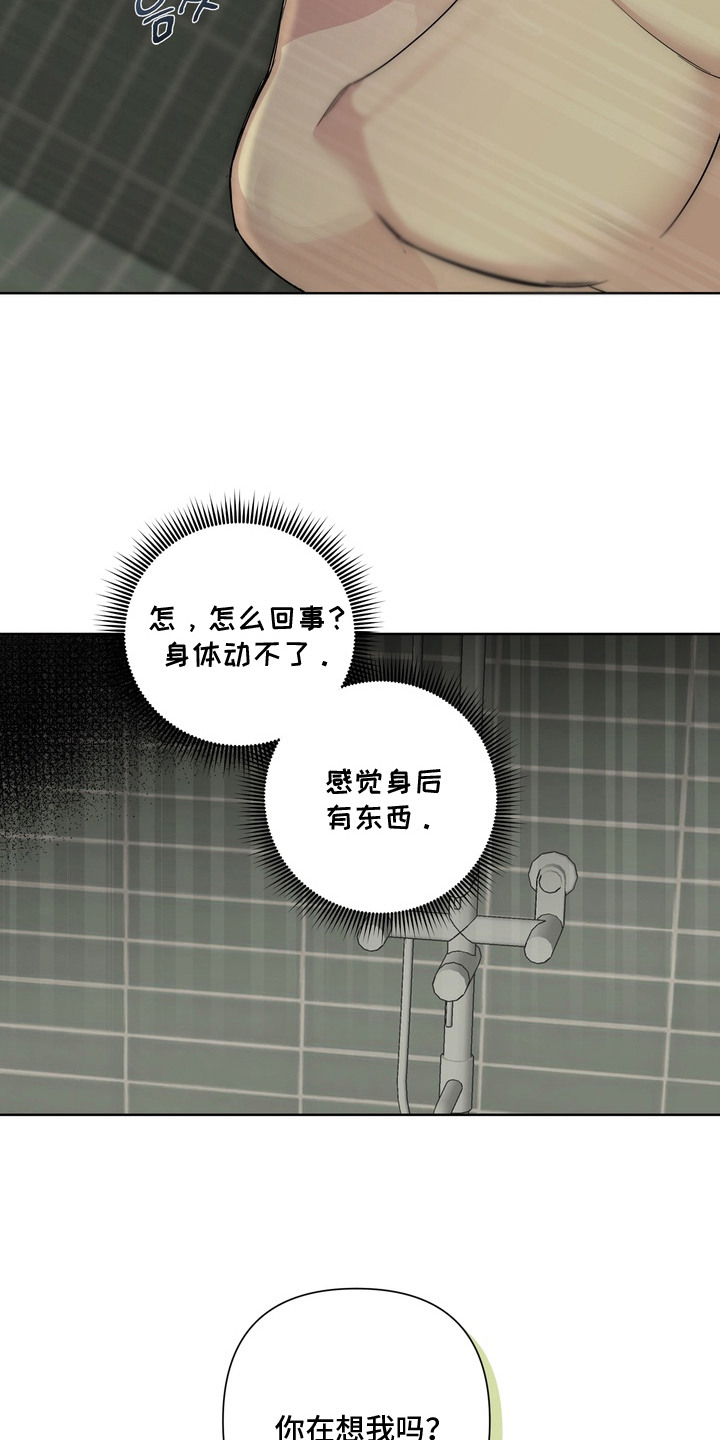白狐日记 - 不是梦 - 第8页