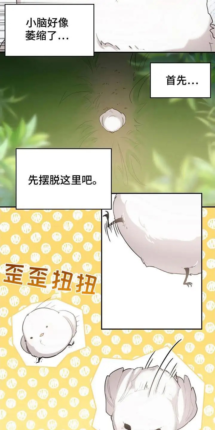 白鸟奇遇记 - 白色小鸟 - 第9页