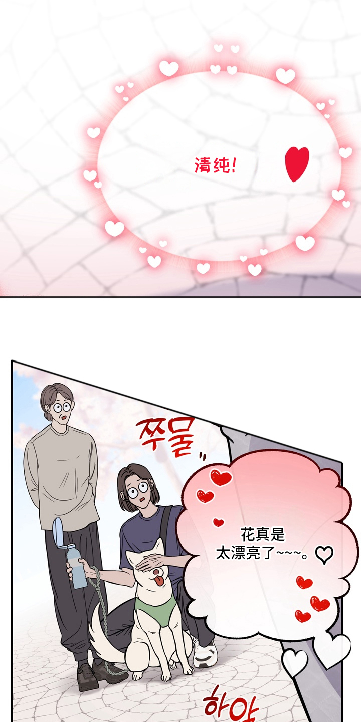 开发捕获 - 不能心软 - 第14页