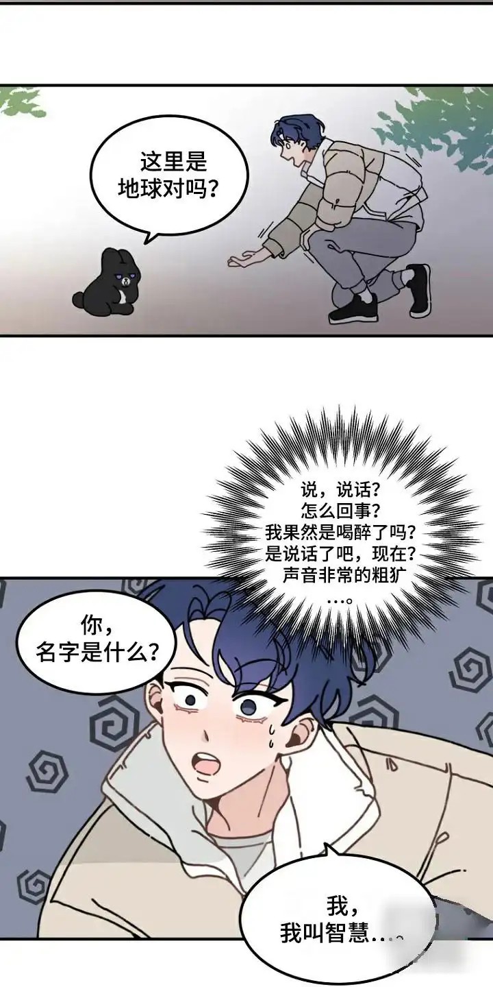 兔兔王子 -   - 第5页