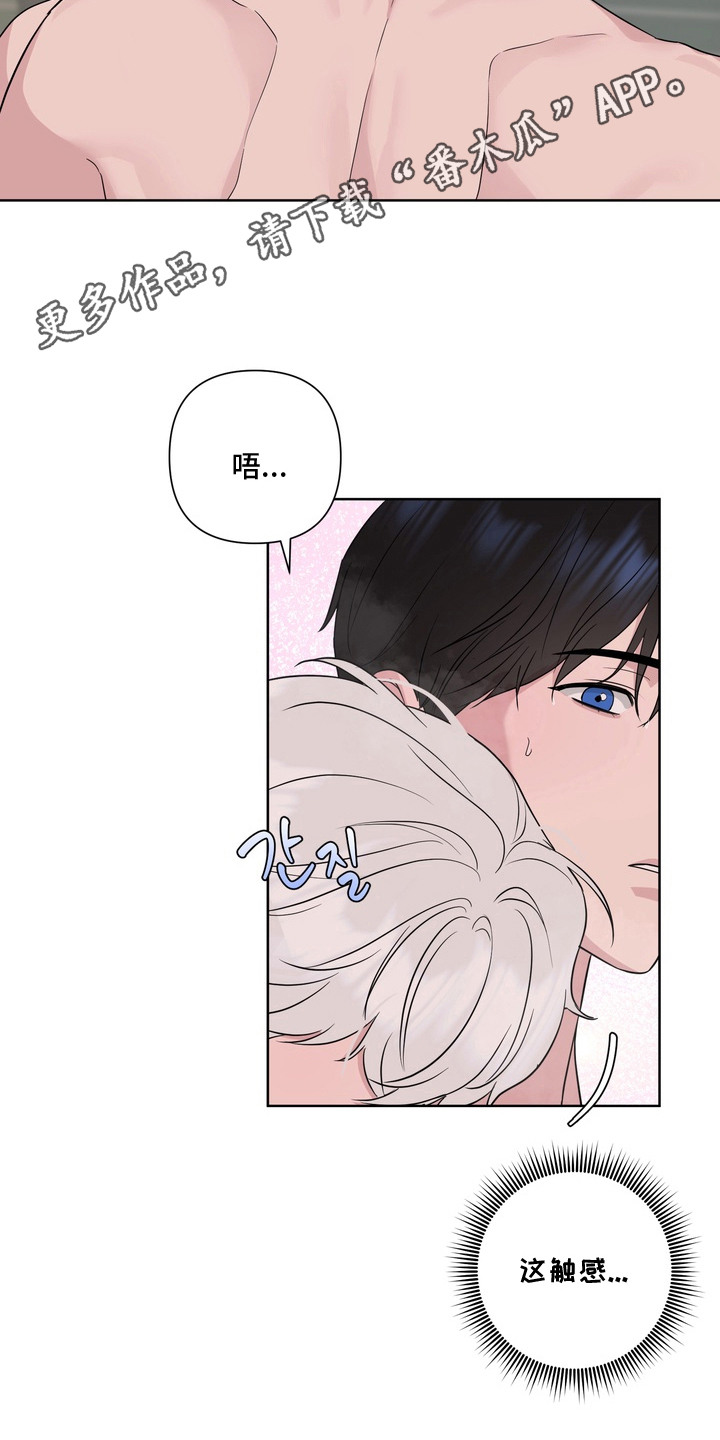白狐日记 - 不是梦 - 第12页