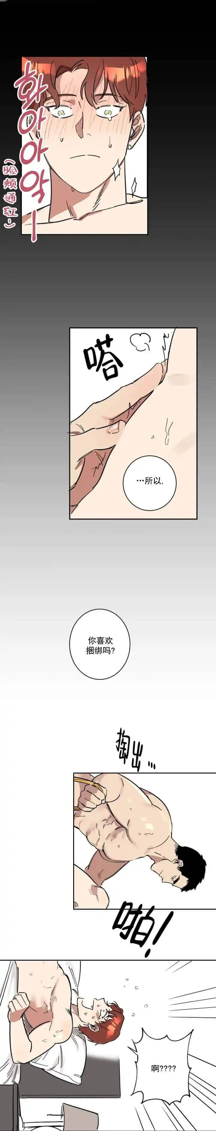 领带的用途 - 回答 - 第8页
