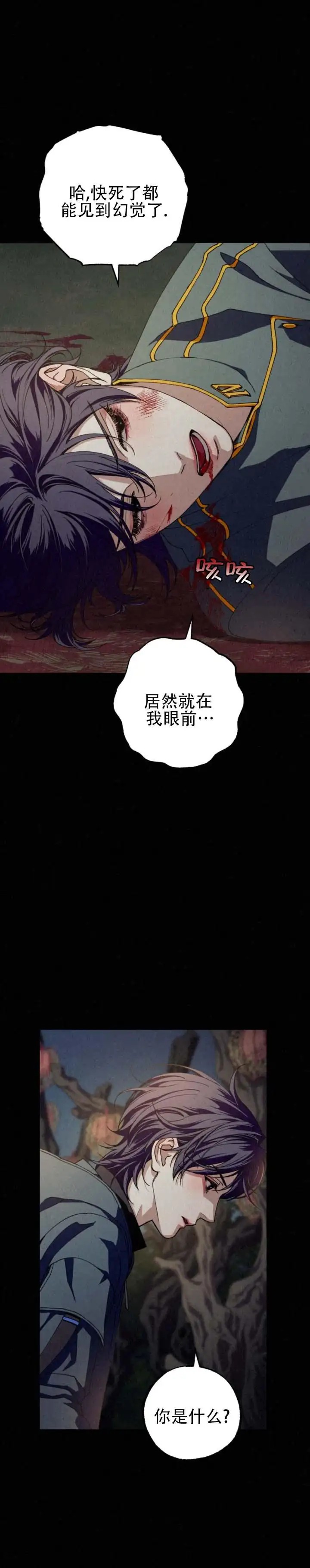 曙光余息 - 从未见过 - 第6页