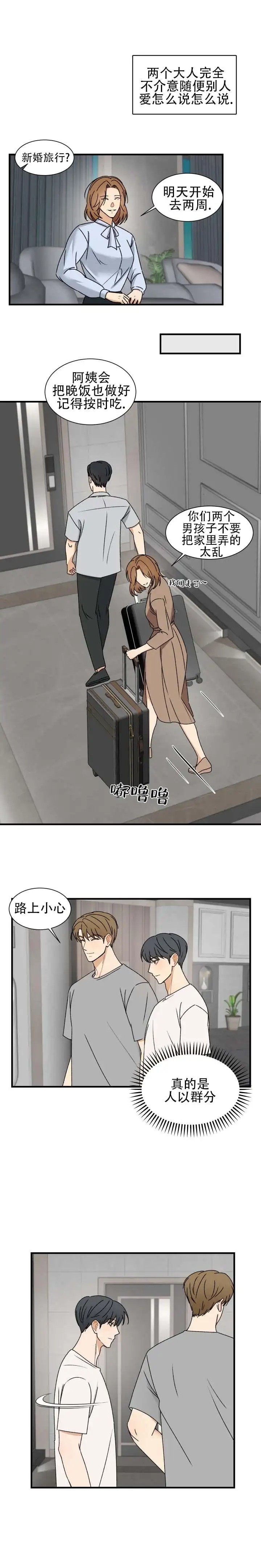 不完全纽带 - 你疯了吗 - 第12页