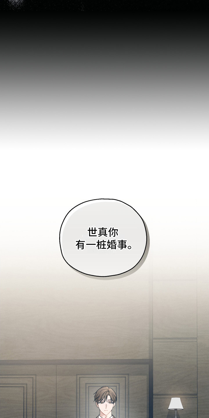 记忆的尽头 - 联姻 - 第7页