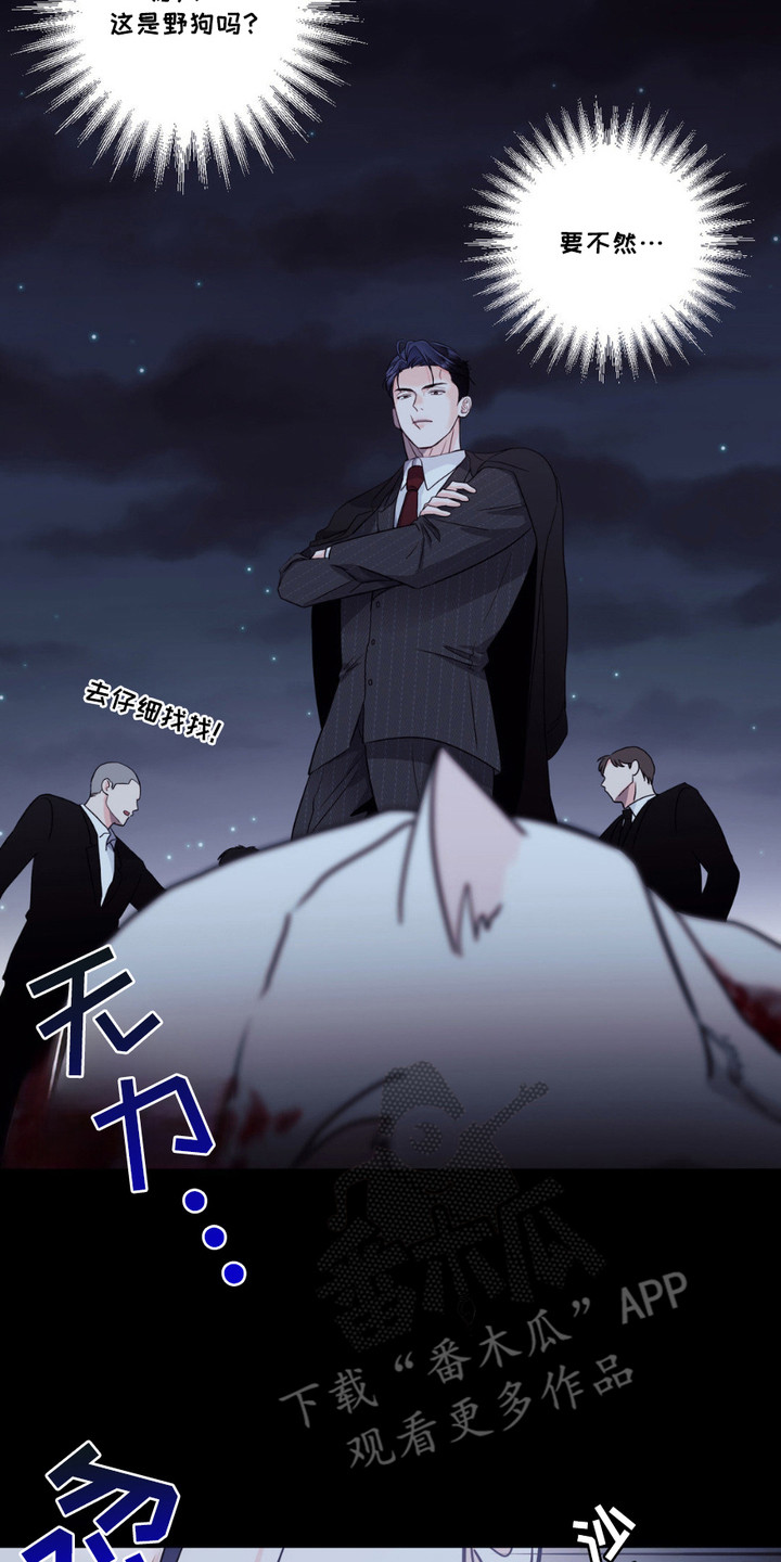 如此可爱的你 - 小狼崽 - 第15页