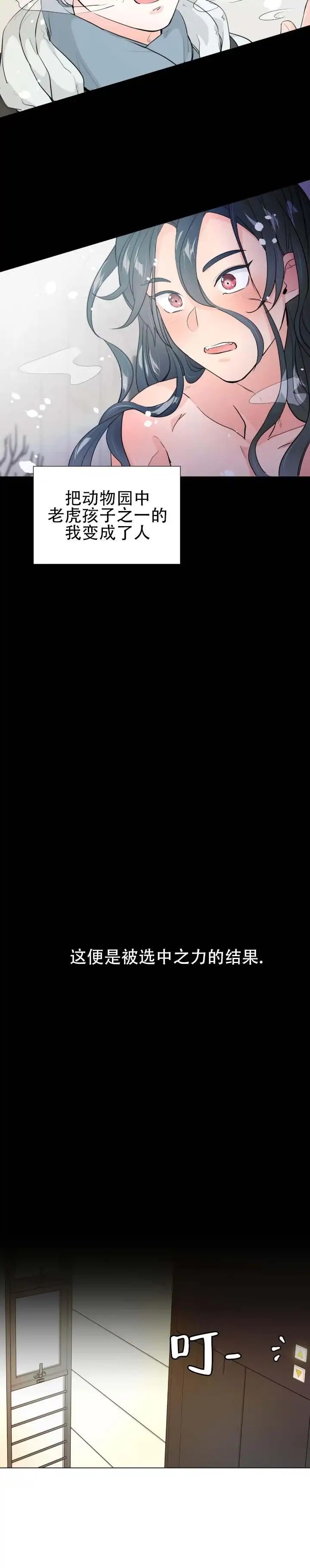 老虎生日糕 - 太过分了 - 第5页