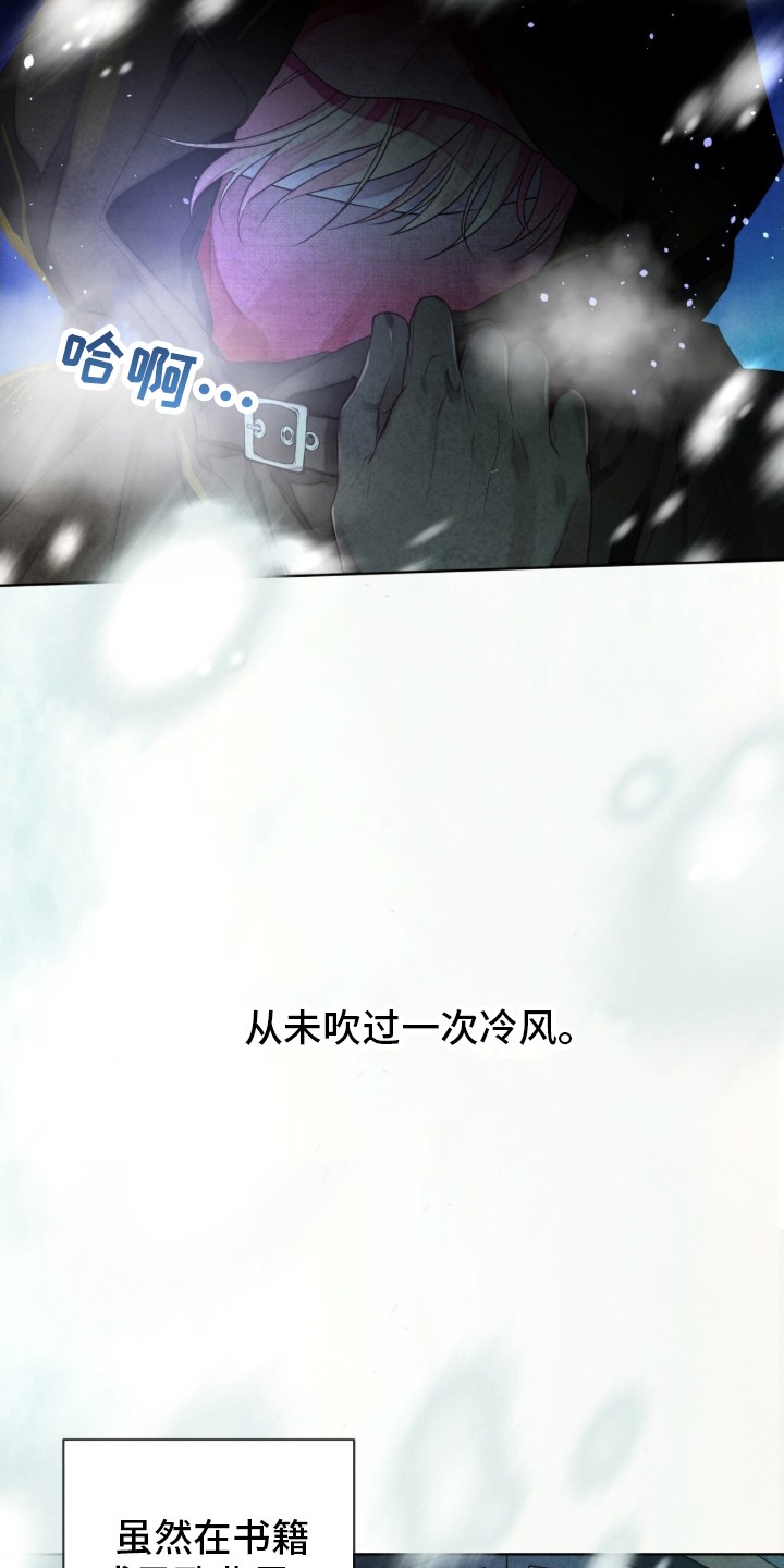 冰封的王嫁 - 公主到访 - 第6页