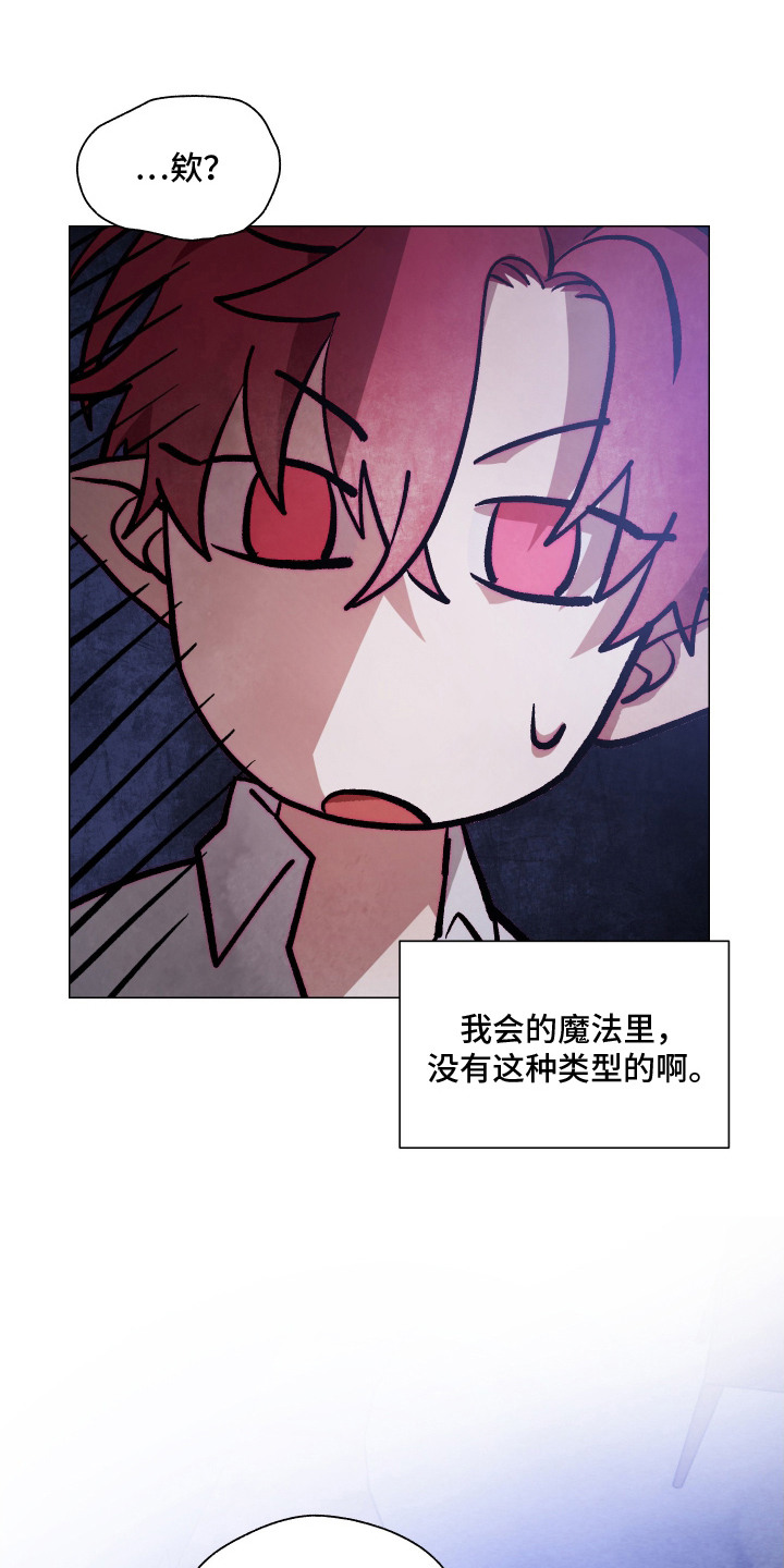 魅魔饲养日志 - 施展魔法 - 第13页