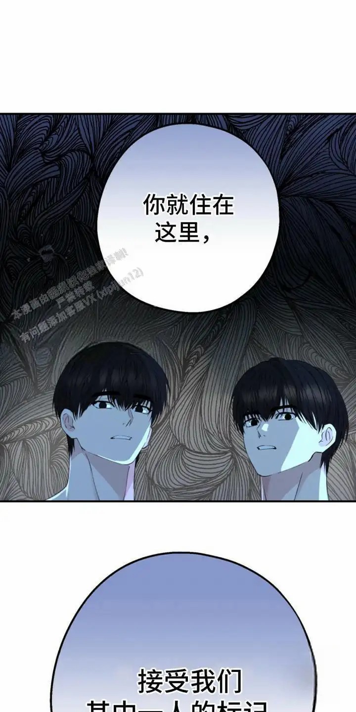 高墙之下 - 动弹不了 - 第5页