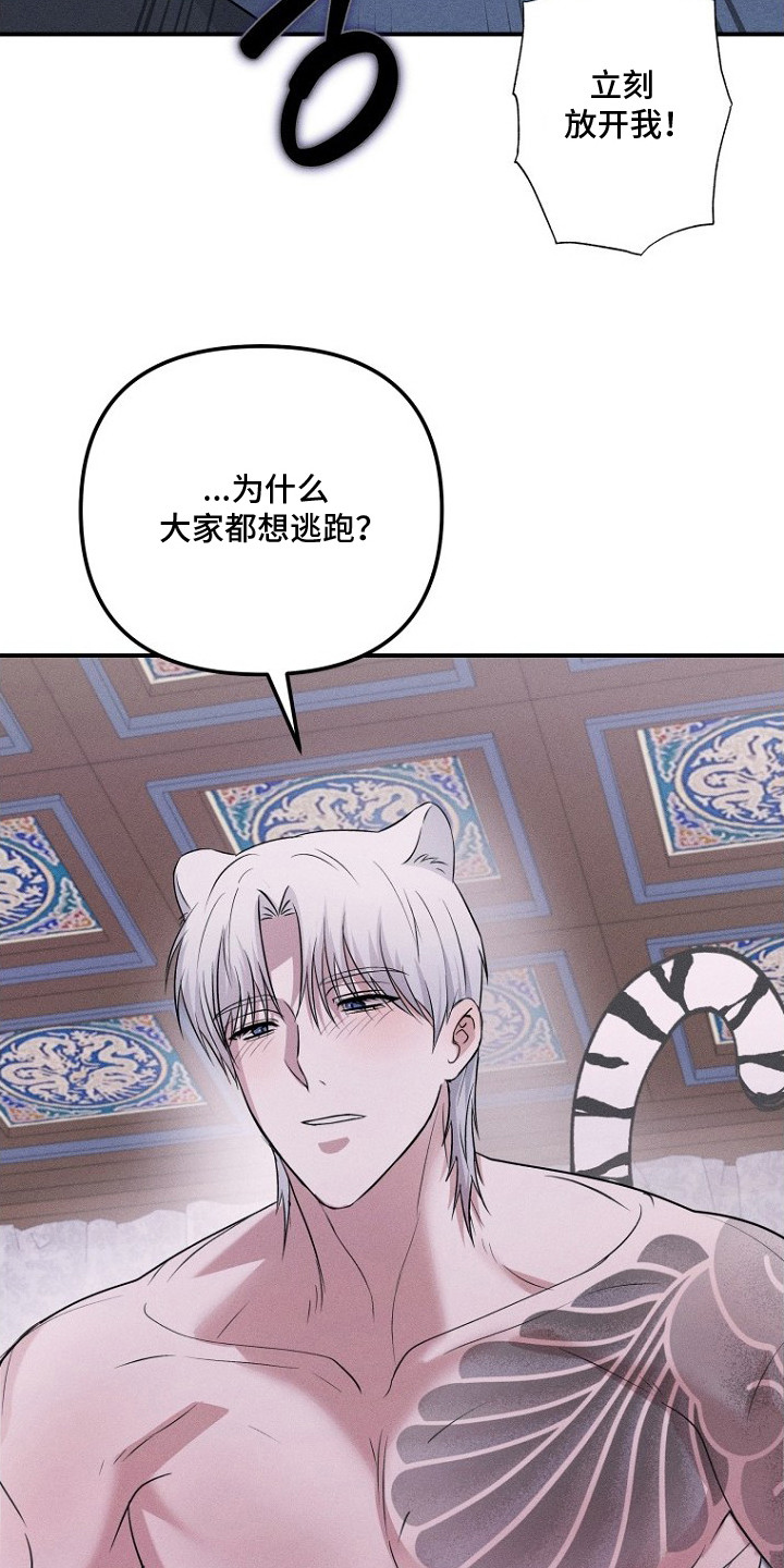坠落婚途 - 新郎 - 第13页