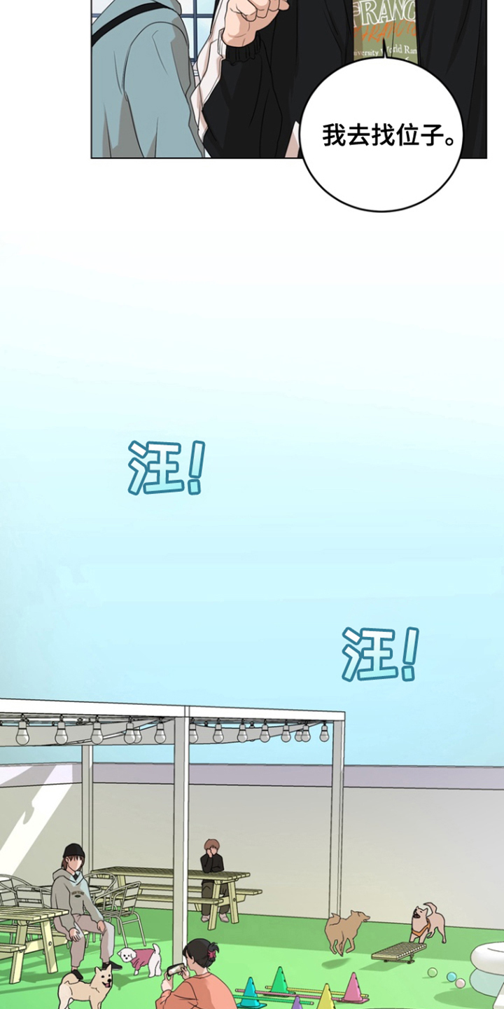 融化调情曲奇 - 宠物咖啡店 - 第12页