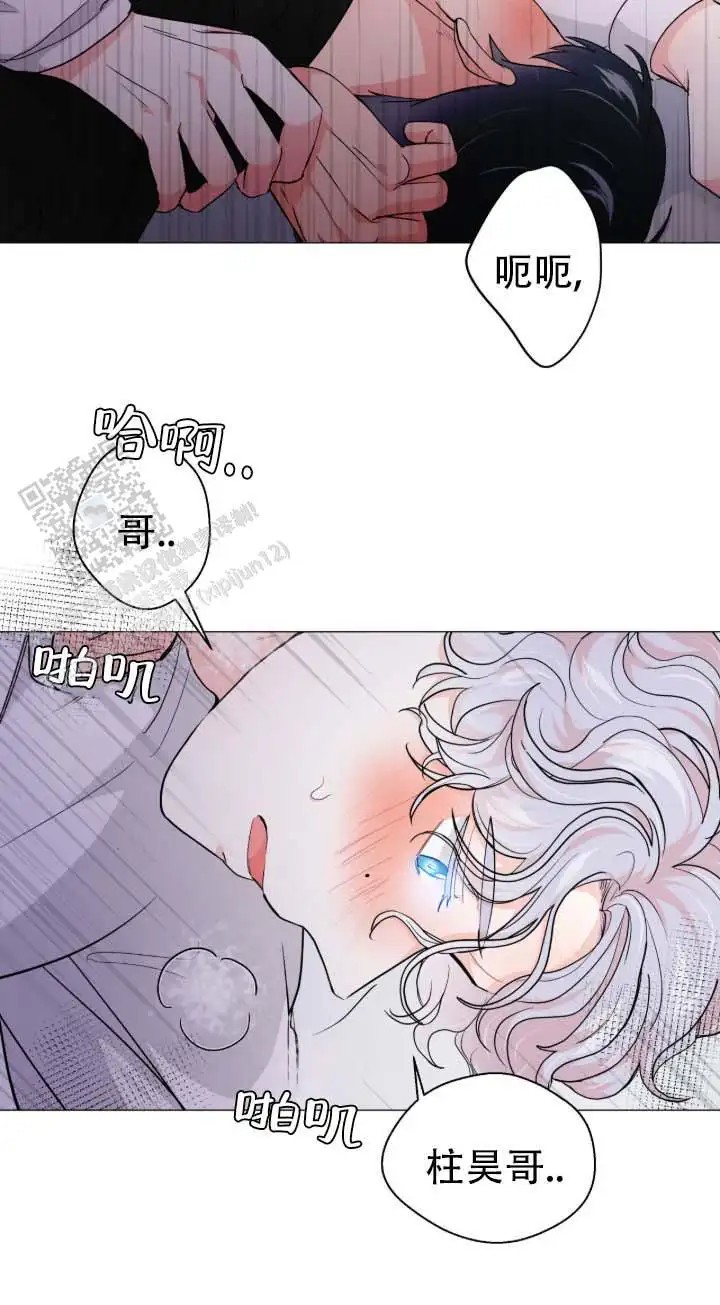 老虎生日糕 - 现在没事了 - 第5页