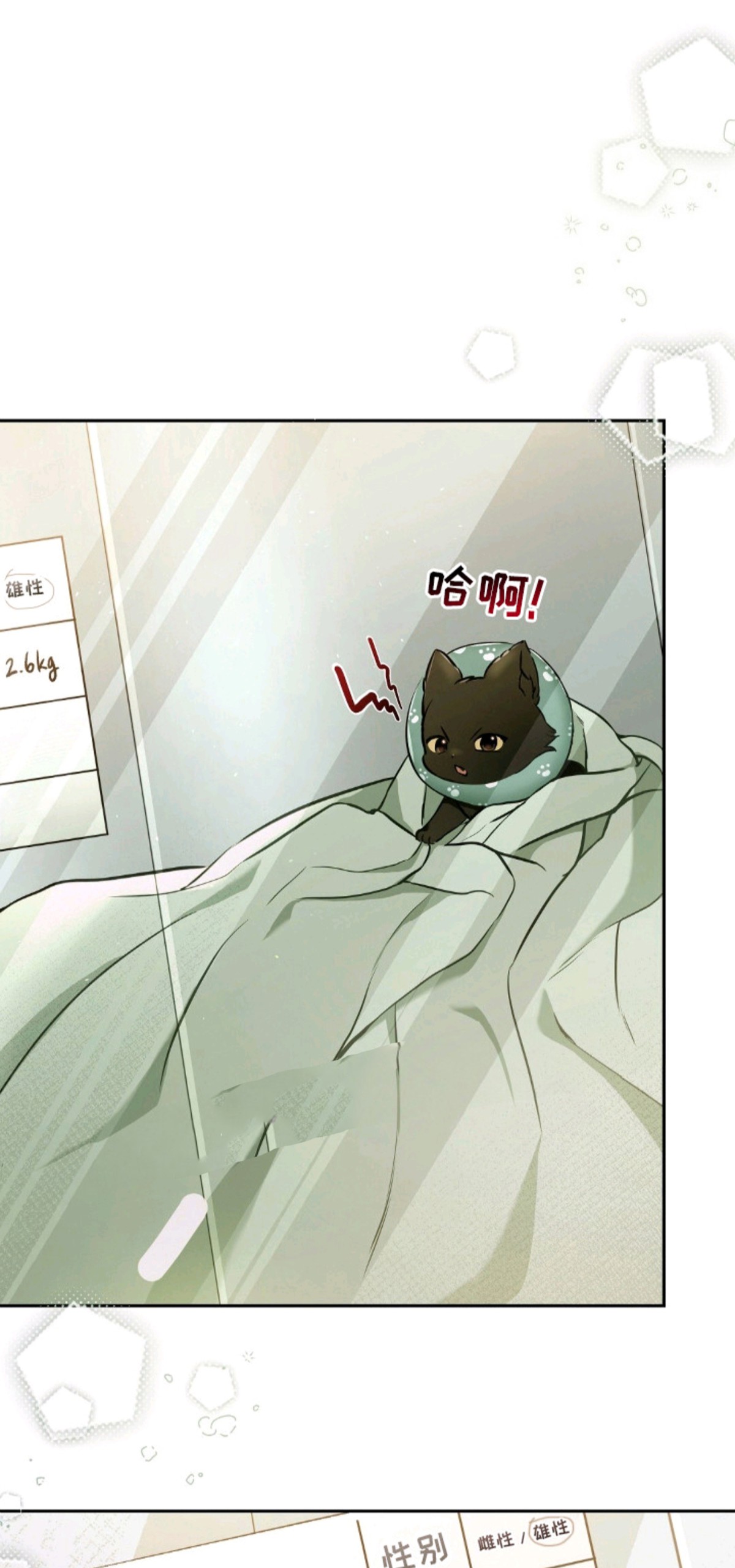 我的黑猫少年 - 得养它 - 第14页