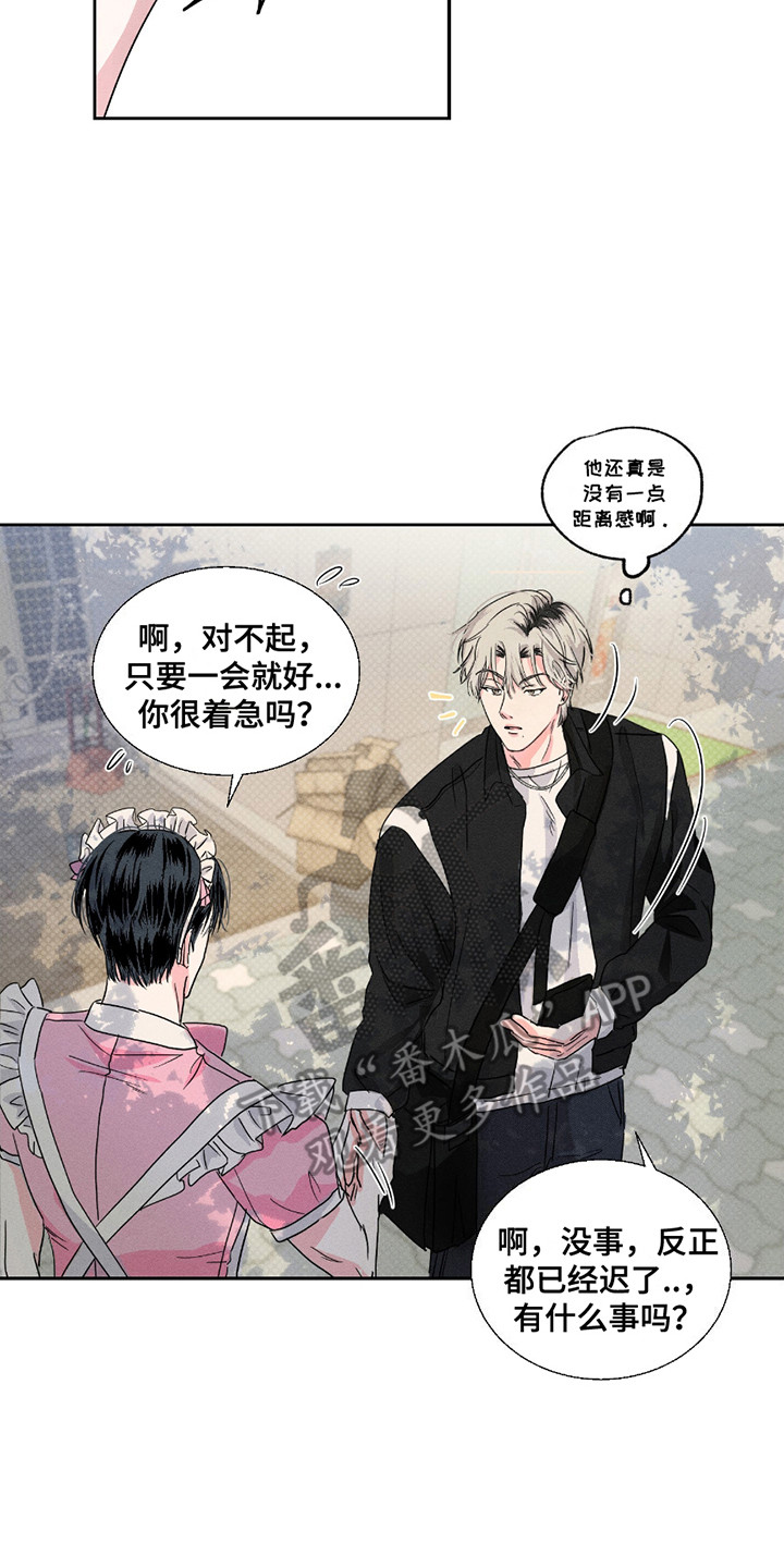 男仆咖啡馆 - 过分热情 - 第9页