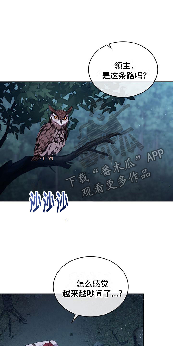 领主的隐情 - 亲自去找 - 第18页