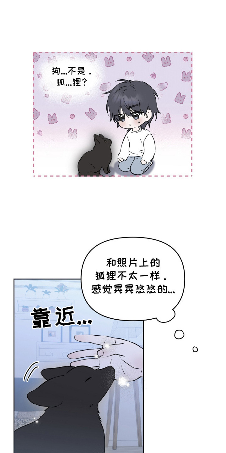 幽光潜行 - 领养 - 第5页