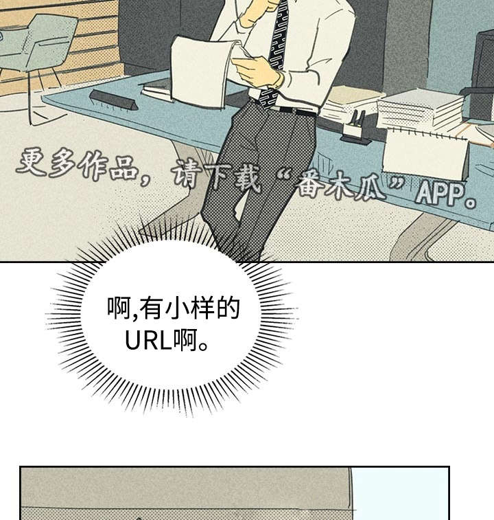 开或关 - 小样URL - 第13页