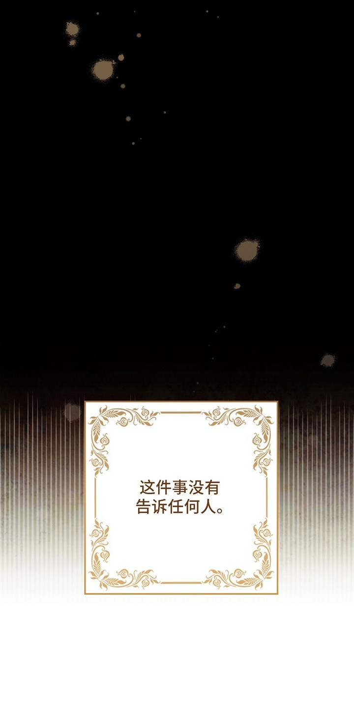 爱上骑士团团长 - 看不惯 - 第26页