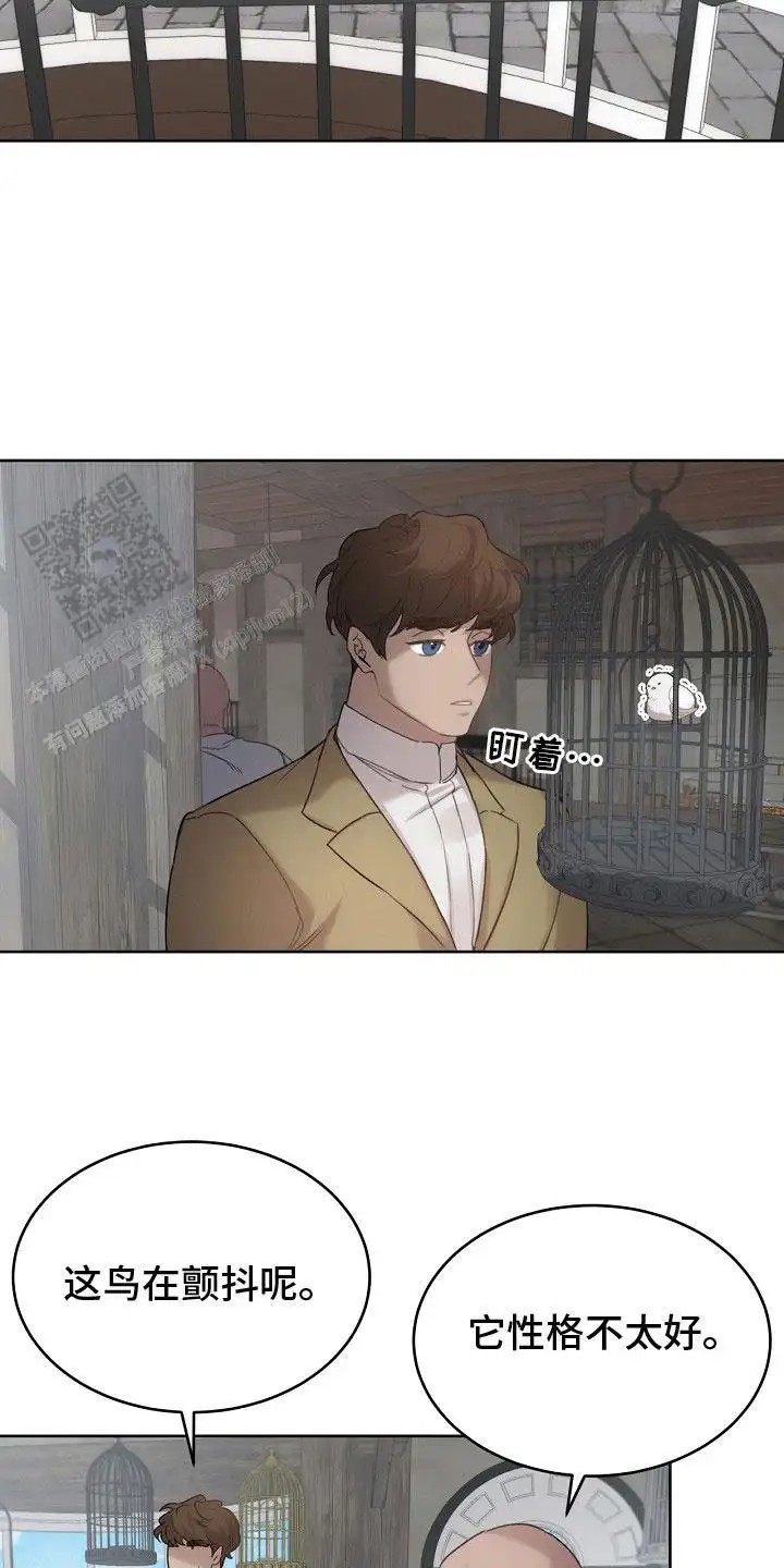 白鸟奇遇记 - 性格不好 - 第7页