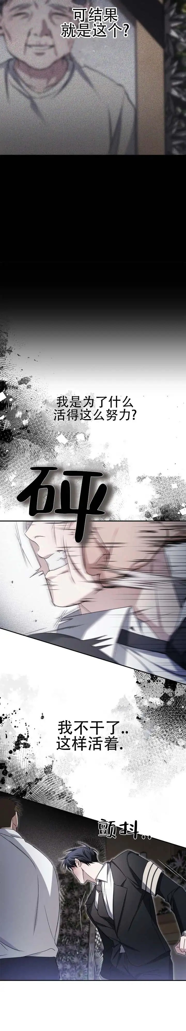 绝对复仇宣言 - 太蠢了 - 第14页