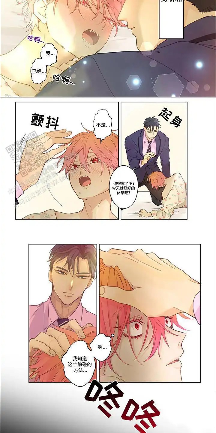 兴奋爆炸 - 讨厌男人 - 第5页