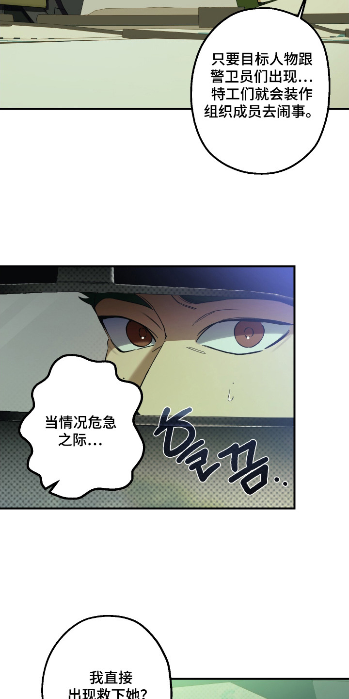 倒悬玫瑰 - 计划 - 第16页