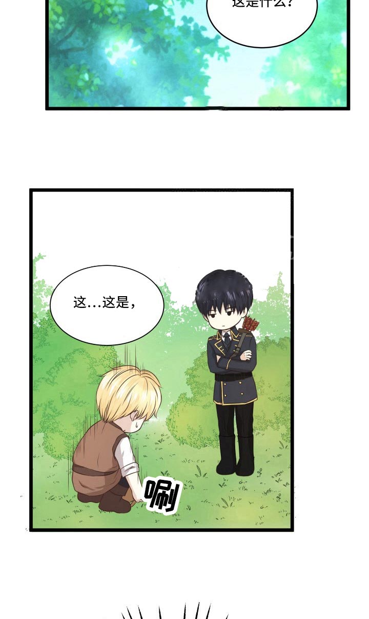 与王子假扮情侣 -   - 第8页