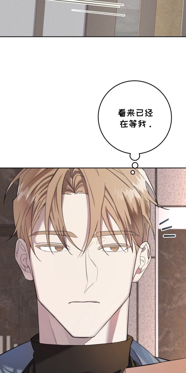 双A法则 - 再次见面 - 第14页